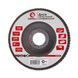 Диск шлифовальный лепестковый 115x22 мм, зерно K60 INTERTOOL BT-0106 BT-0106 фото 1