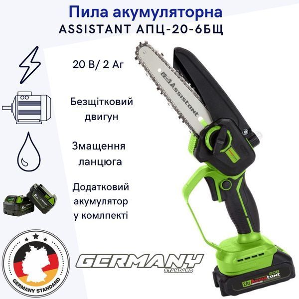 Акумуляторна міні ланцюгова пила Assistant АПЦ-20-6 БЩ(Безщітковий двигун, 2 акумулятори) АПЦ-20-6 фото
