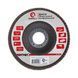 Диск шлифовальный лепестковый 115x22 мм, зерно K100 INTERTOOL BT-0110 BT-0110 фото 1